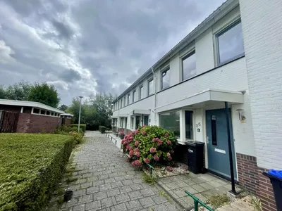 House for rent on Wielerbaan in Den Haag