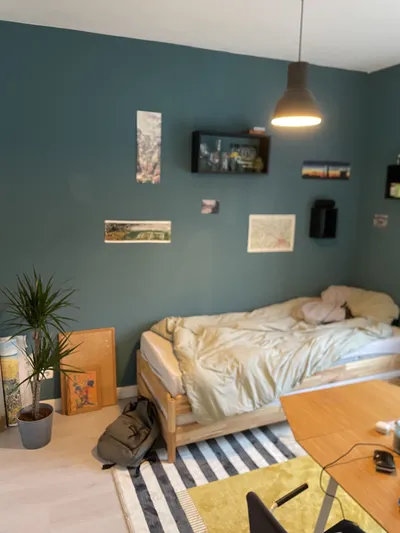 Room for rent on Daalseweg in Nijmegen