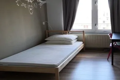 Room for rent on Snelfilterweg in Rotterdam