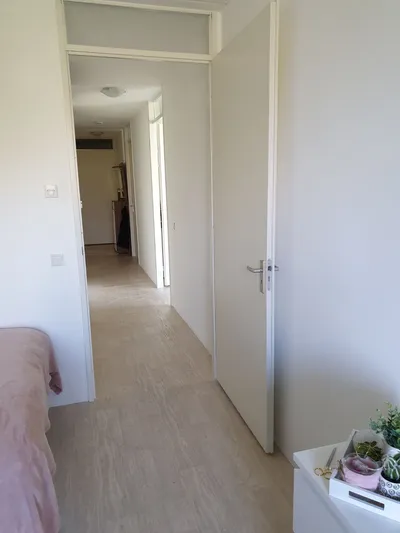 Room for rent on Wijnesteinlaan in Utrecht