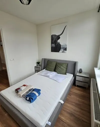 Room for rent on Damstraat in Utrecht