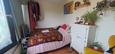 Room for rent on Hogerhoeve in Nieuwegein