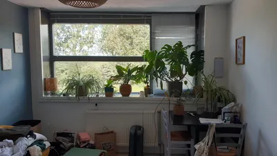 Room for rent on Dijkwacht in Leiderdorp