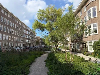 Apartment for rent on Vechtstraat in Amsterdam