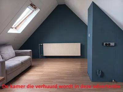 Room for rent on Hondsrug in Utrecht
