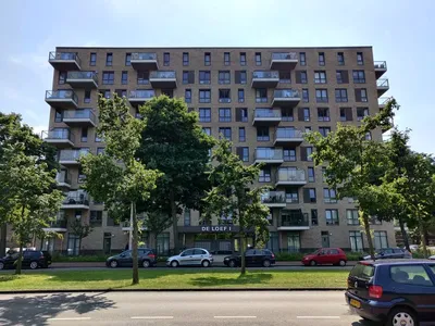 Apartment for rent on Loevesteinlaan 375-E in Den Haag