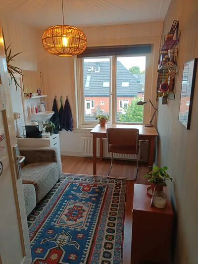 Room for rent on Petrus Campersingel in Groningen