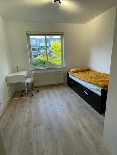 Room for rent on Wilgenlaan in Groningen