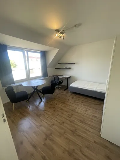 Room for rent on Dokter van Kleefstraat in Maastricht