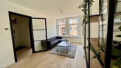 Apartment for rent on Usselincxstraat in Den Haag