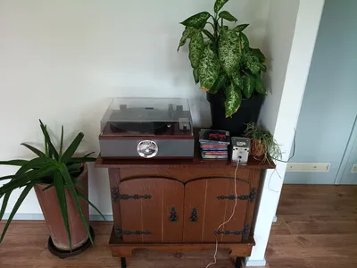 Room for rent on Van der Goesstraat in Arnhem