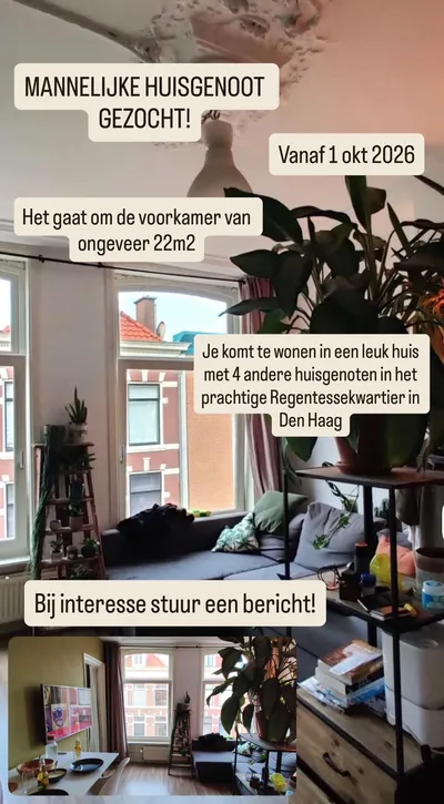 Room for rent on Van Swietenstraat in Den Haag