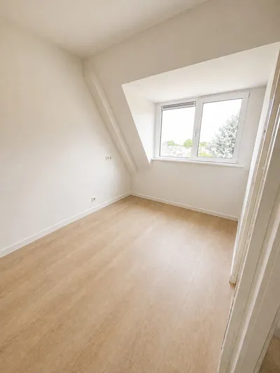 Room for rent on Alleenhouderstraat in Tilburg