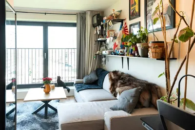 Studio for rent on Welnastraat in Amsterdam