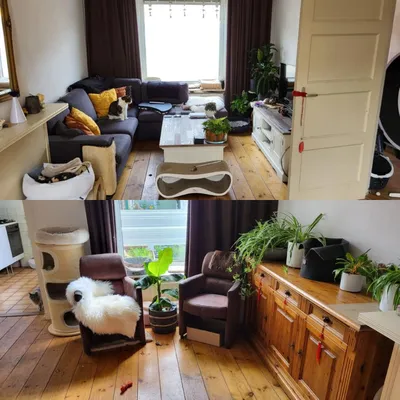 Room for rent on Broekhovenseweg in Tilburg