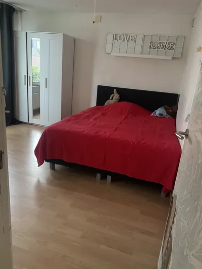 Room for rent on De Pauwentuin in Amstelveen