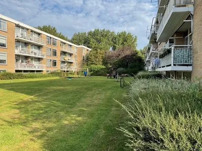 Apartment for rent on Knuttelstraat in Delft