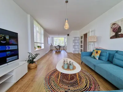 Apartment for rent on Louis Davidsstraat in Den Haag