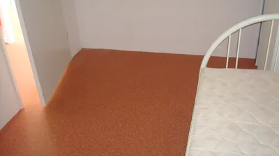 Room for rent on Waalstraat in Arnhem