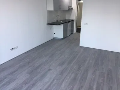 Studio for rent on Pijnboomstraat in Tilburg