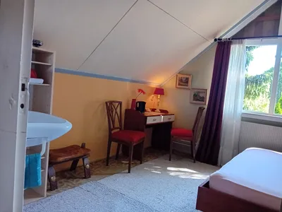 Room for rent on Molenlaan in Ruurlo