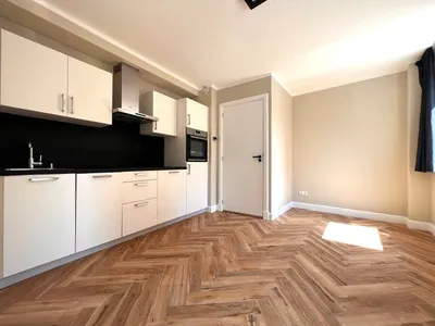 Apartment for rent on Van Speijkstraat in Den Haag
