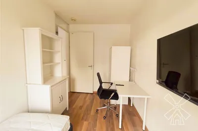 Room for rent on Schlegelstraat in Den Haag