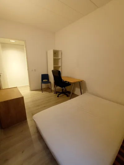 Room for rent on Romerselaan in Arnhem