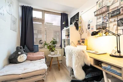 Room for rent on Tollensstraat in Leiden