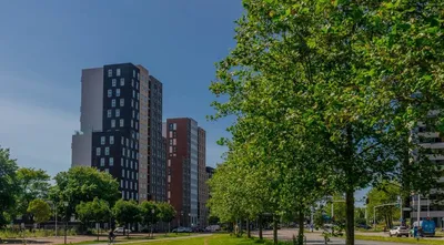 Other for rent on Edisonstraat in Leiden