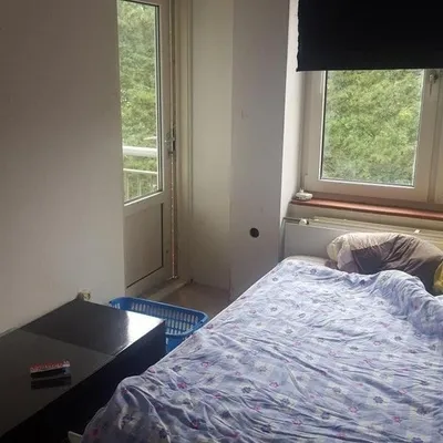Room for rent on Willem Molengraaffstraat in Amsterdam