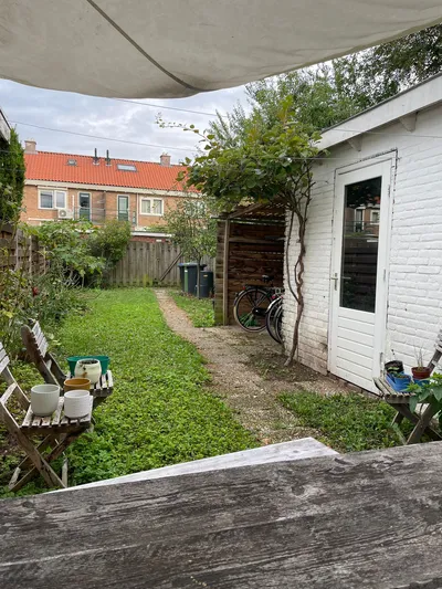 Room for rent on Ranonkelstraat in Arnhem